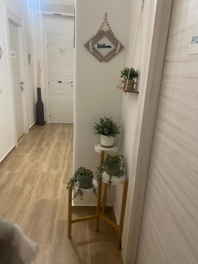卡塔尼亚Dama House Airport&Hospital公寓 外观 照片